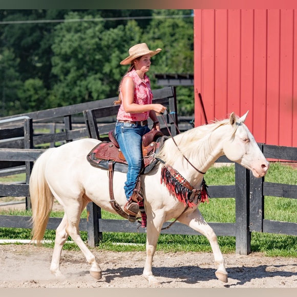 Meet your Posher, Kristen - Picture 11 of 16